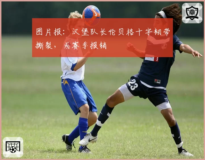 图片报:汉堡队长伦贝格十字韧带撕裂,或赛季报销