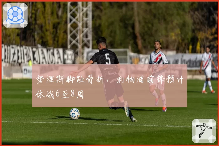 努涅斯脚趾骨折,利物浦前锋预计休战6至8周